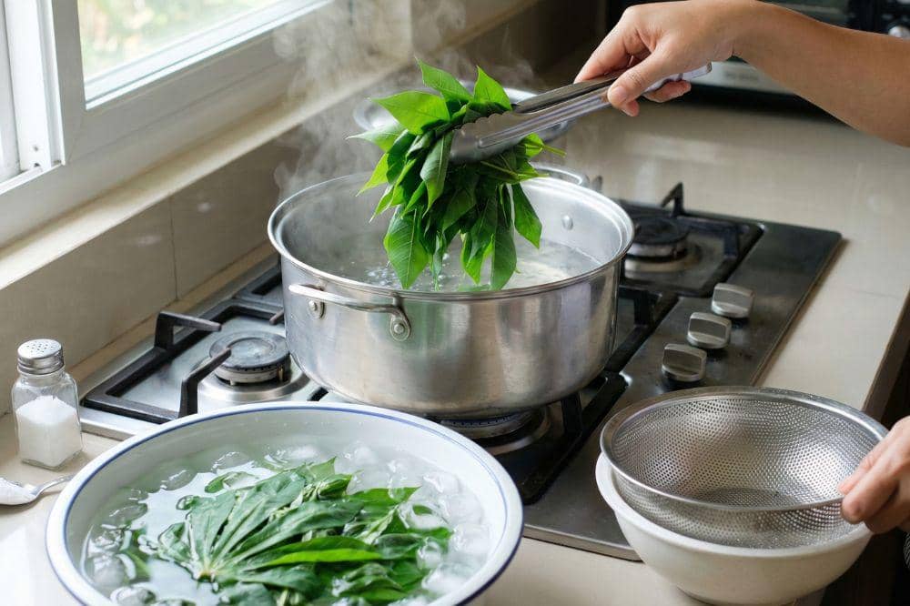 Cara Menyimpan Daun Singkong