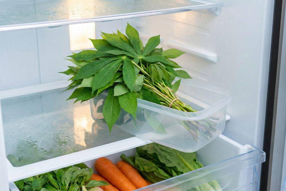 Cara Menyimpan Daun Singkong