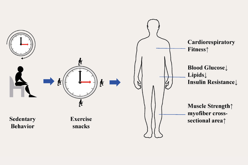 Exercise snacks and physical fitness in sedentary populations