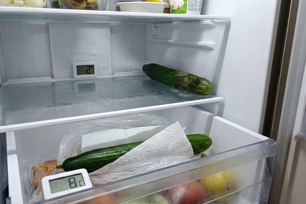 7 Cara Menyimpan Timun 6