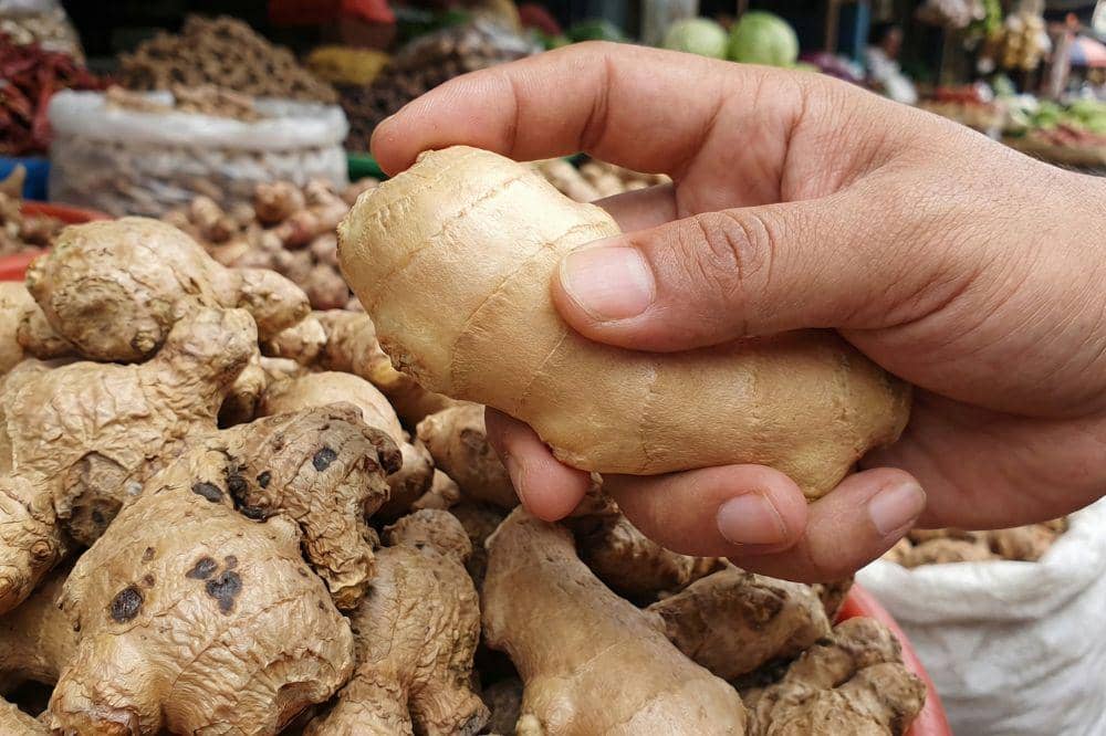 Cara Menyimpan Jahe