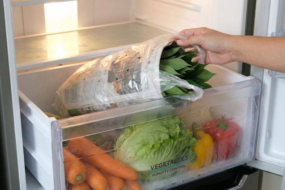 Cara Menyimpan Daun Singkong