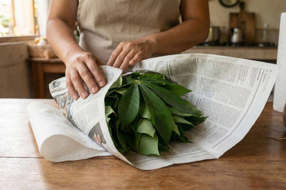 Cara Menyimpan Daun Singkong