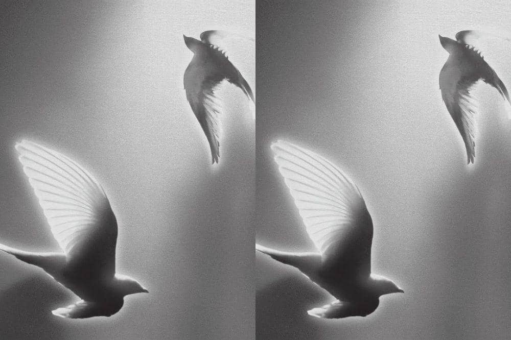 10 Lagu Cinta yang Paling Dicari Tahun 2025