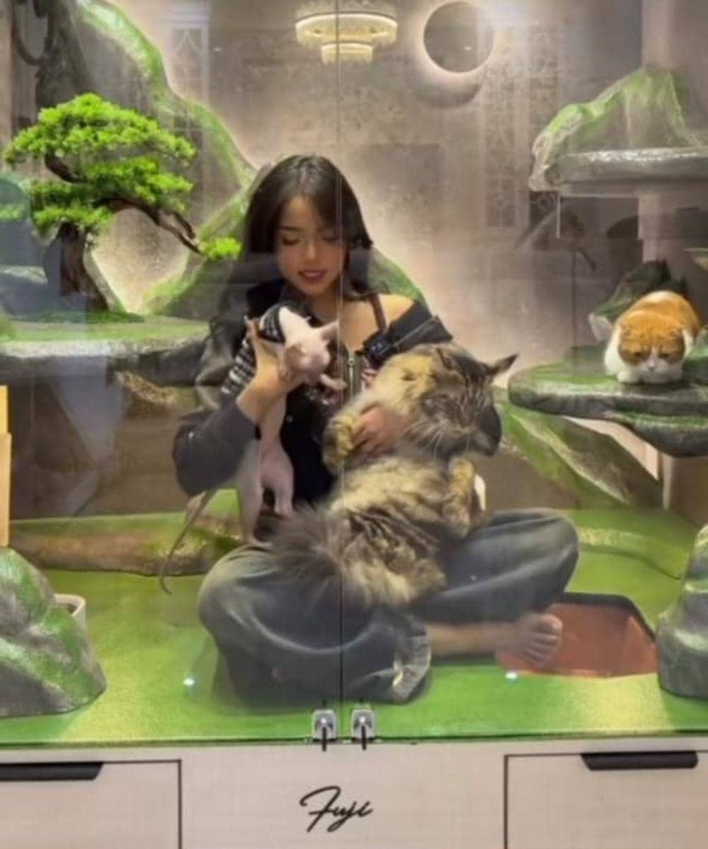 6 Foto Rumah Kucing Rachel Vennya dan Fuji 6