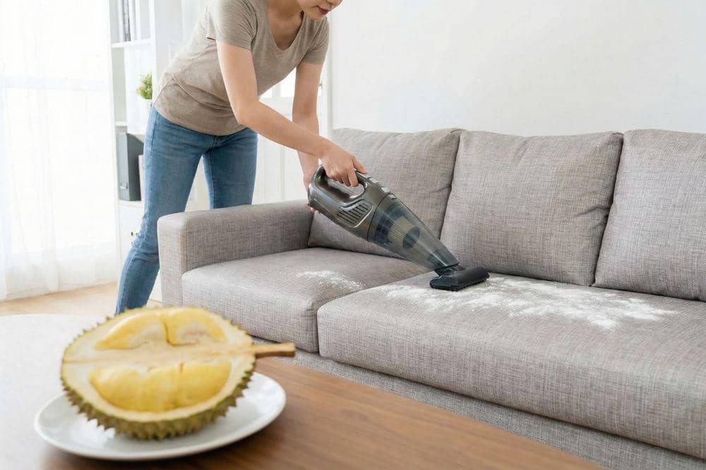 7 Cara Menghilangkan Bau Durian di Ruangan 7