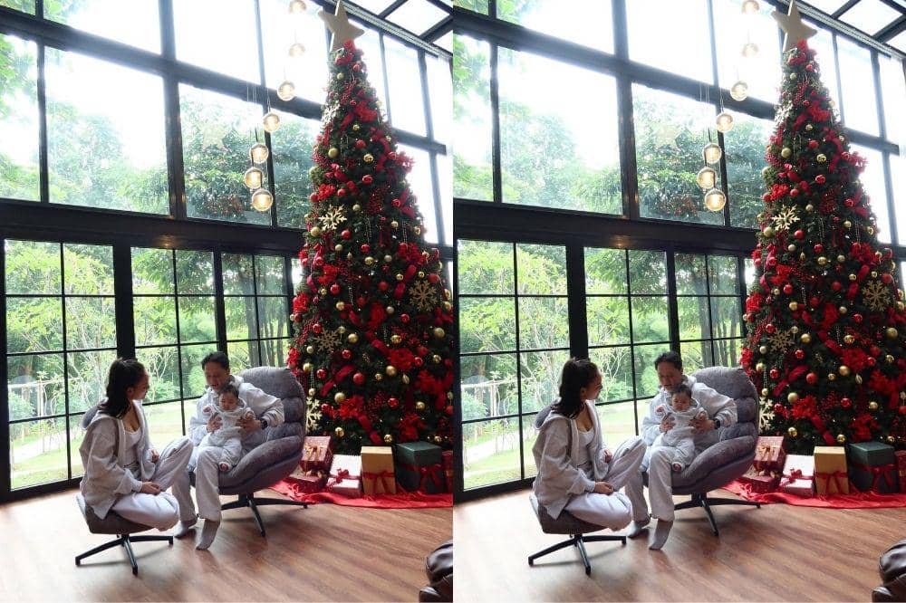 6 Foto Dekorasi Pohon Natal Erika Carlina