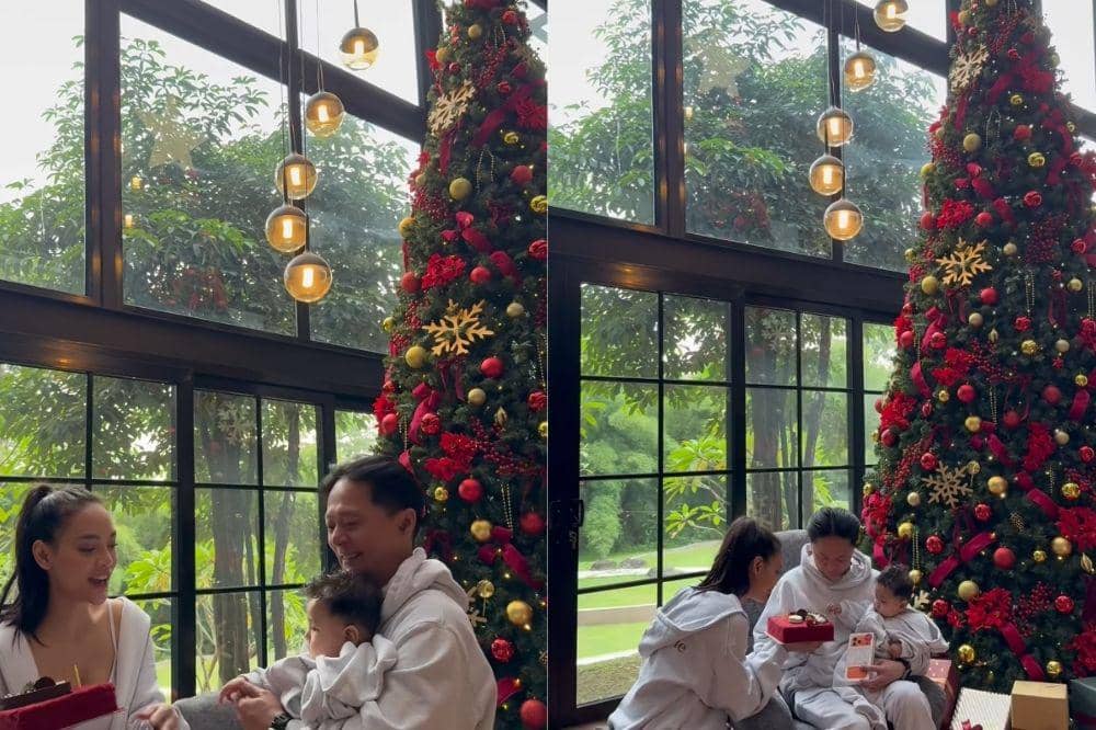 6 Foto Dekorasi Pohon Natal Erika Carlina