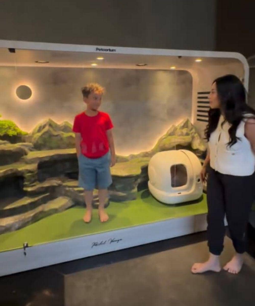 6 Foto Rumah Kucing Rachel Vennya dan Fuji 2