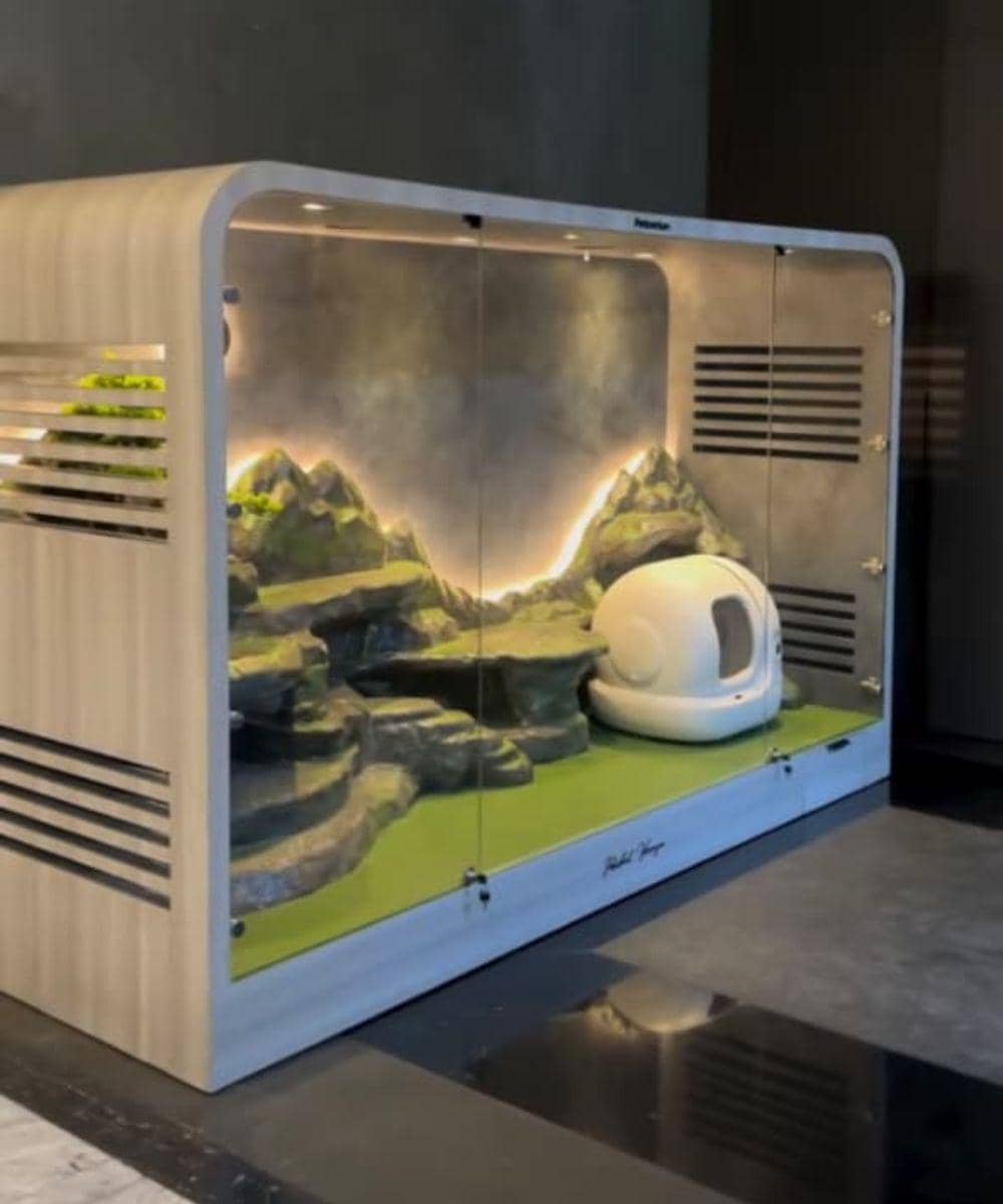 6 Foto Rumah Kucing Rachel Vennya dan Fuji 1