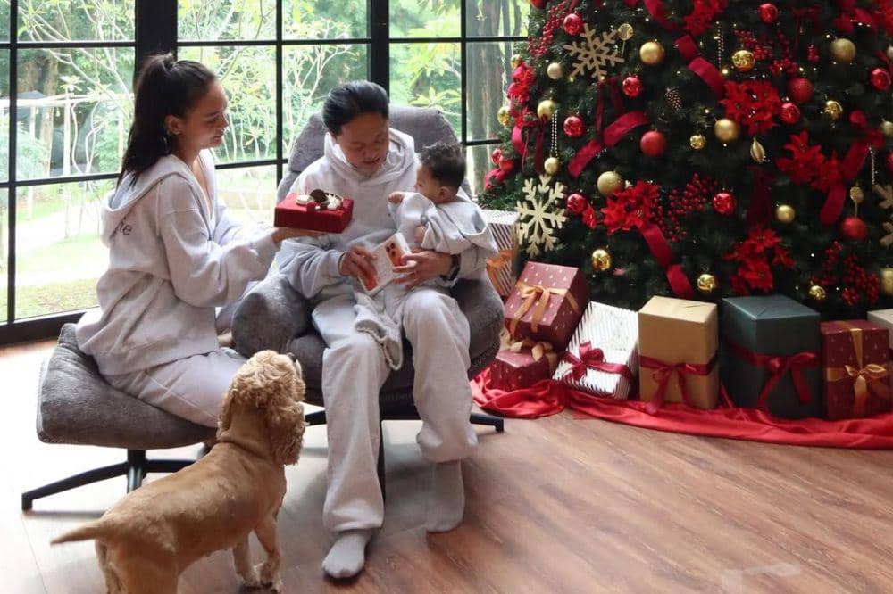 6 Foto Dekorasi Pohon Natal Erika Carlina