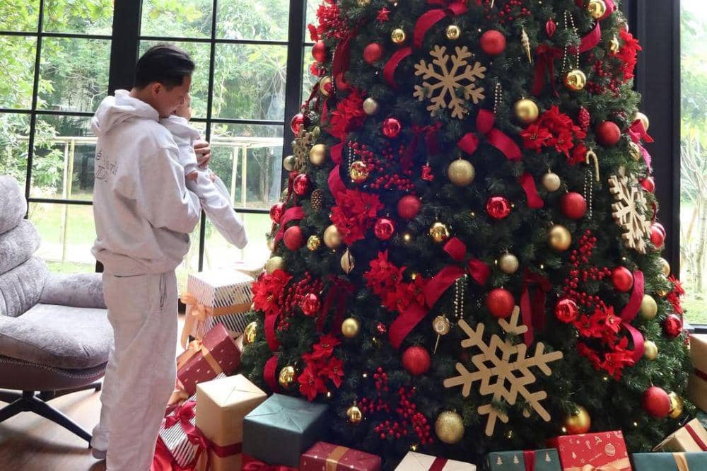 6 Foto Dekorasi Pohon Natal Erika Carlina