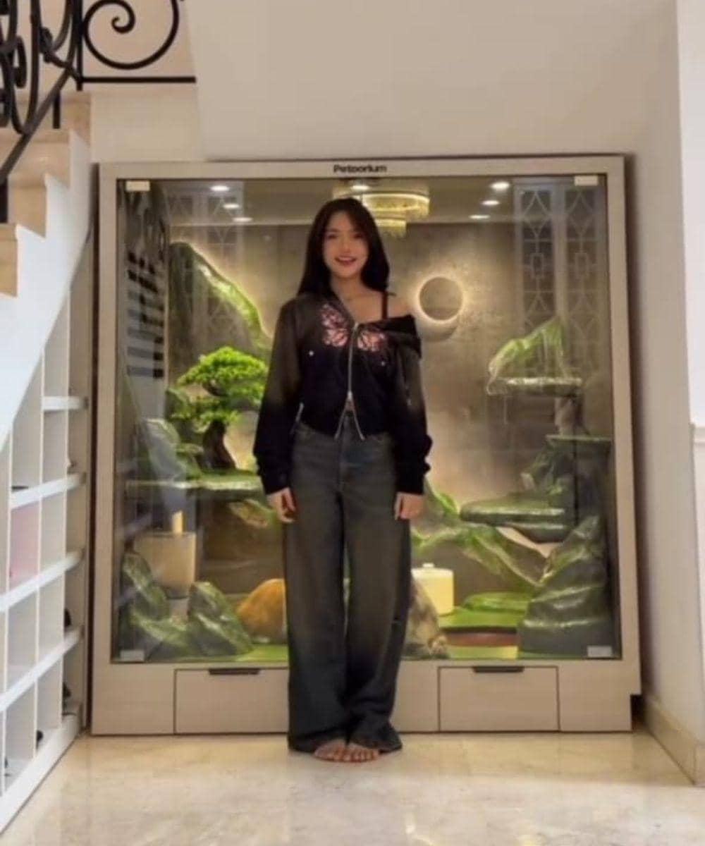 6 Foto Rumah Kucing Rachel Vennya dan Fuji 5