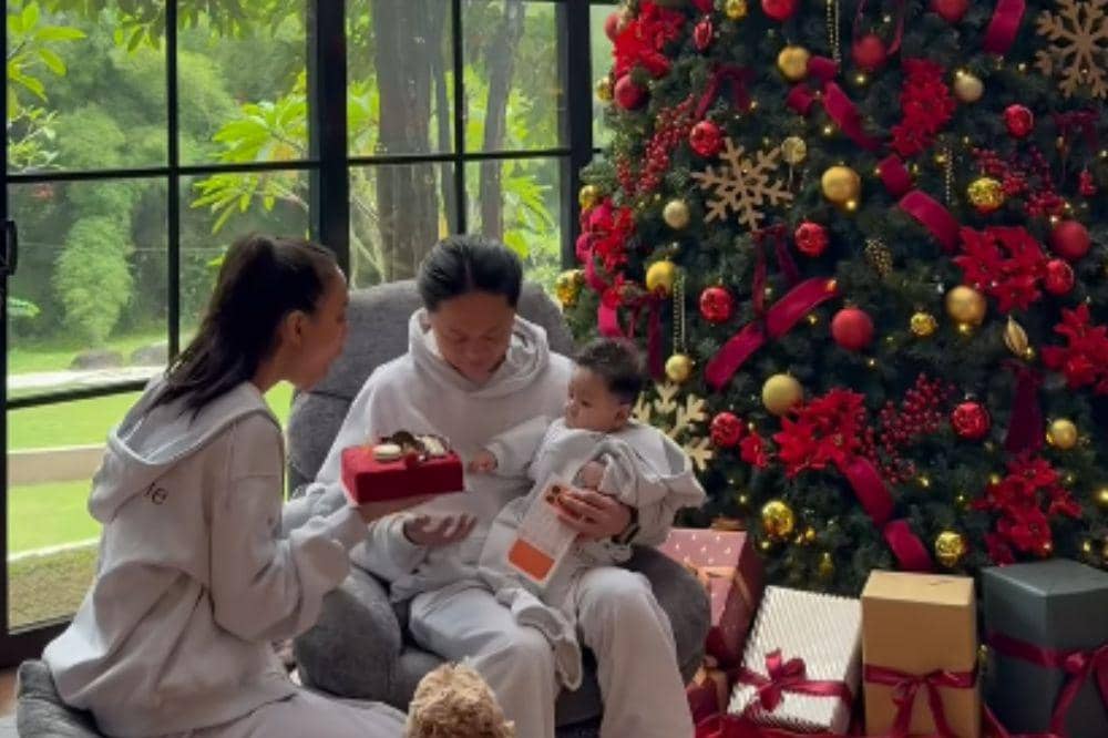 6 Foto Dekorasi Pohon Natal Erika Carlina