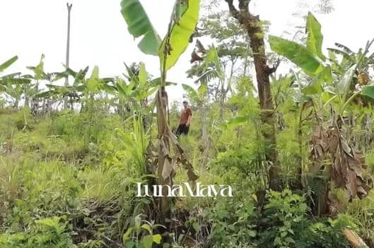 Fakta Luna Maya dan Maxime Bouttier Beli Tanah di Yogyakarta