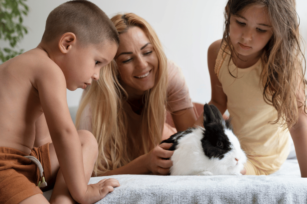 Kedua anak terlihat penasaran dan ingin memegang kelinci tersebut