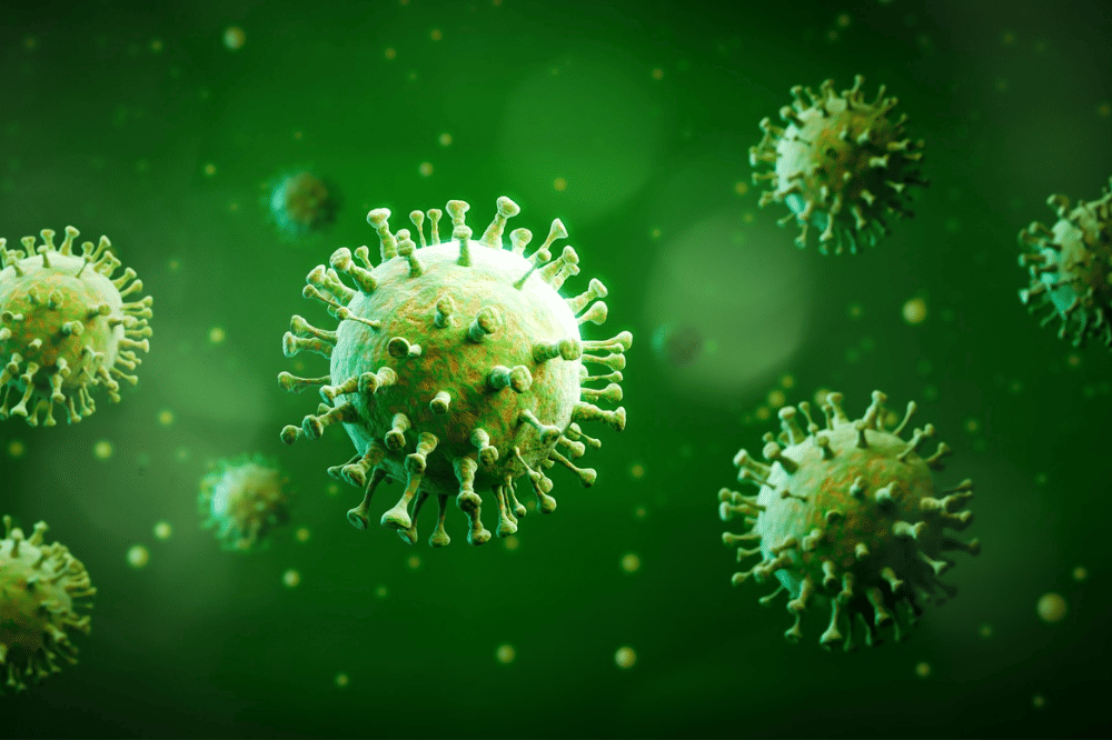 Bentuk bakteri dalam penglihatan mikroskop