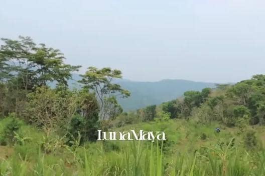 Fakta Luna Maya dan Maxime Bouttier Beli Tanah di Yogyakarta