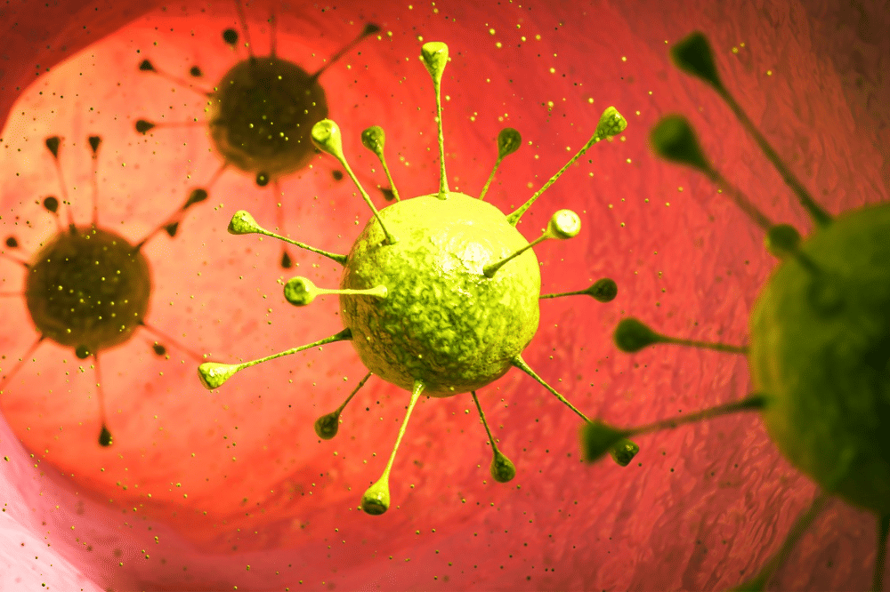 Bentuk bakteri dalam penglihatan mikroskop