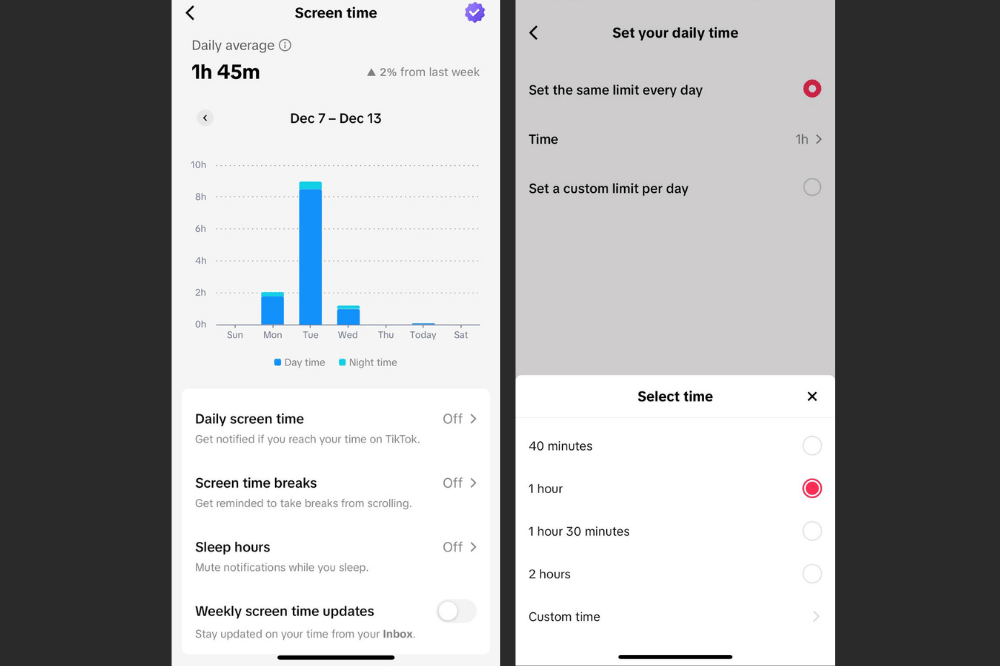 Tangkapan Layar Pengaturan TikTok