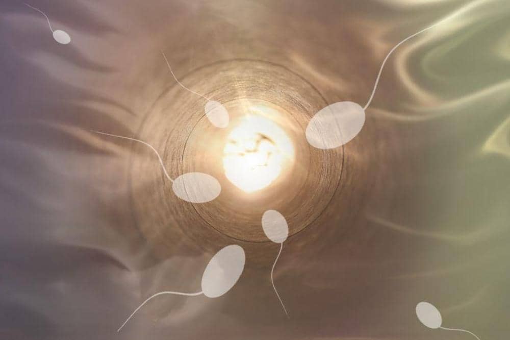 Sperma Bening Apakah Mandul Simak penjelasannya!