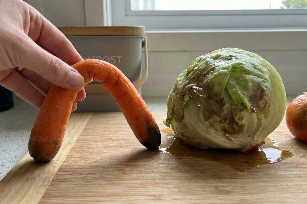 Tanda Makanan Kedaluwarsa