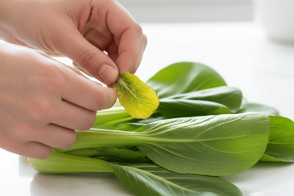 Cara Menyimpan Sawi Hijau