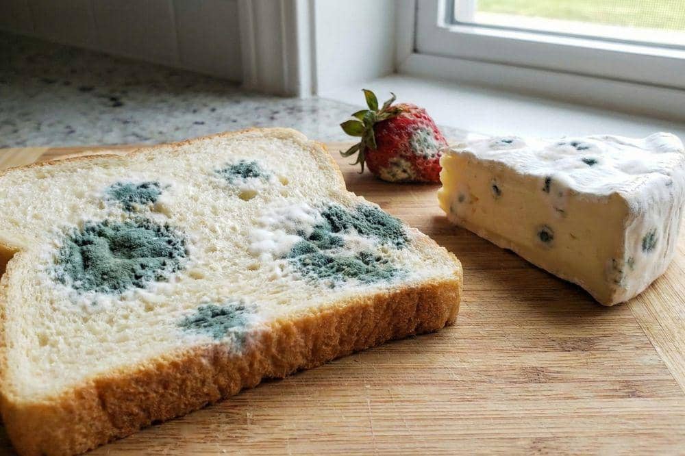 Tanda Makanan Kedaluwarsa