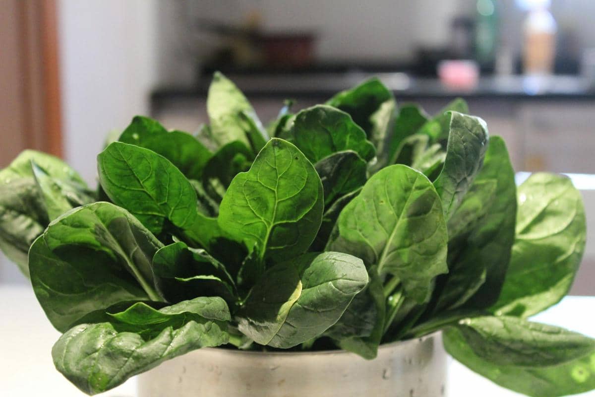 7 Makanan yang Membantu Kesehatan Mata Ibu Hamil