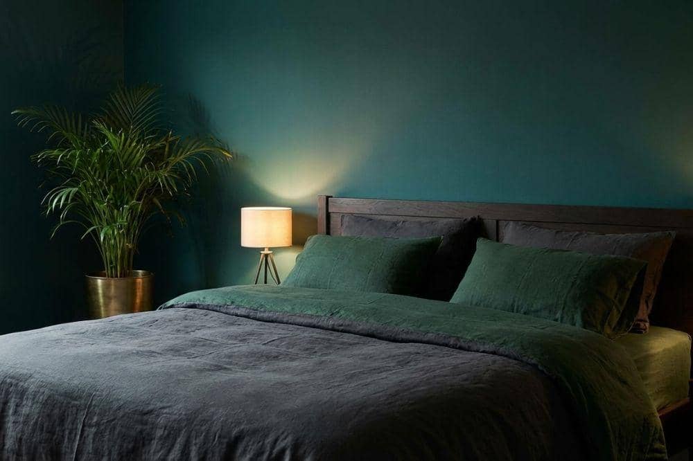 7 Inspirasi Warna Cat Tahun 2026 yang Bikin Rumah Asri 7