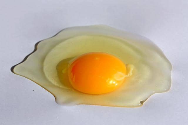 Manfaat putih telur untuk bayi