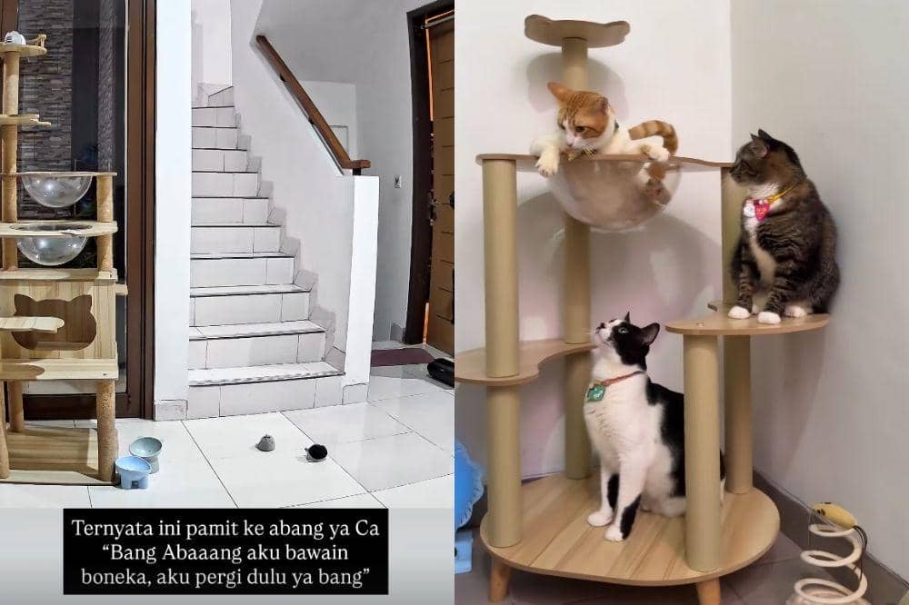 Kucingnya Pergi untuk Selamanya, Dayu Hatmanti Buat Pesan Sedih