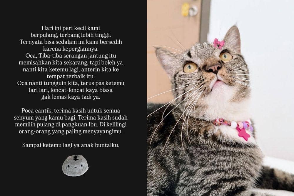 Kucingnya Pergi untuk Selamanya, Dayu Hatmanti Buat Pesan Sedih