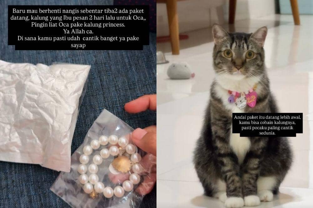 Kucingnya Pergi untuk Selamanya, Dayu Hatmanti Buat Pesan Sedih