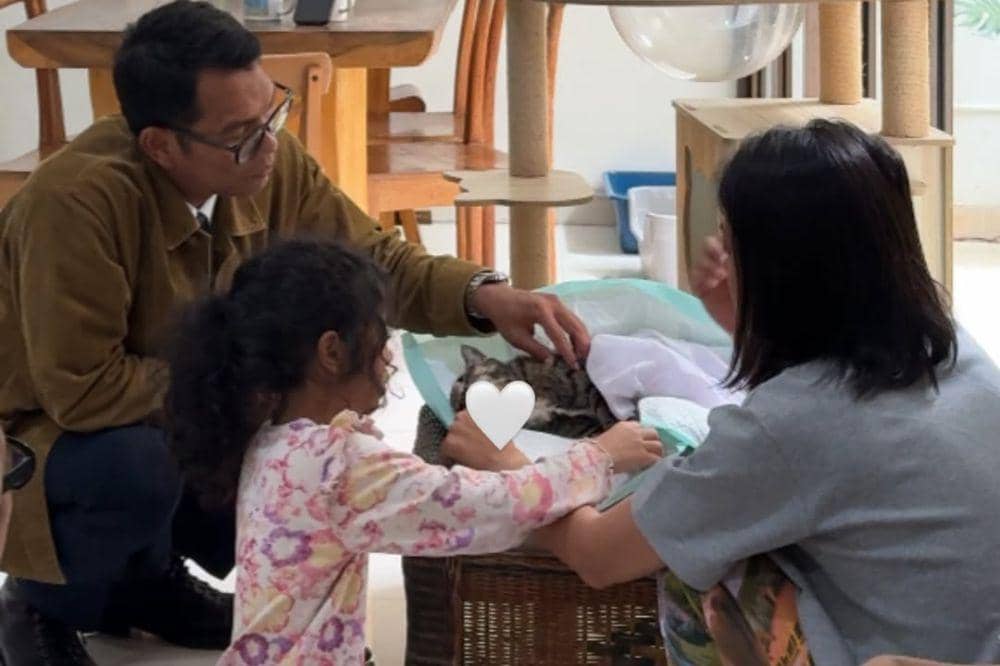 Kucingnya Pergi untuk Selamanya, Dayu Hatmanti Buat Pesan Sedih