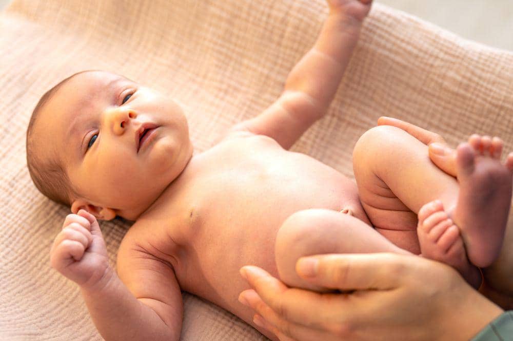 Freepik/pvproductions