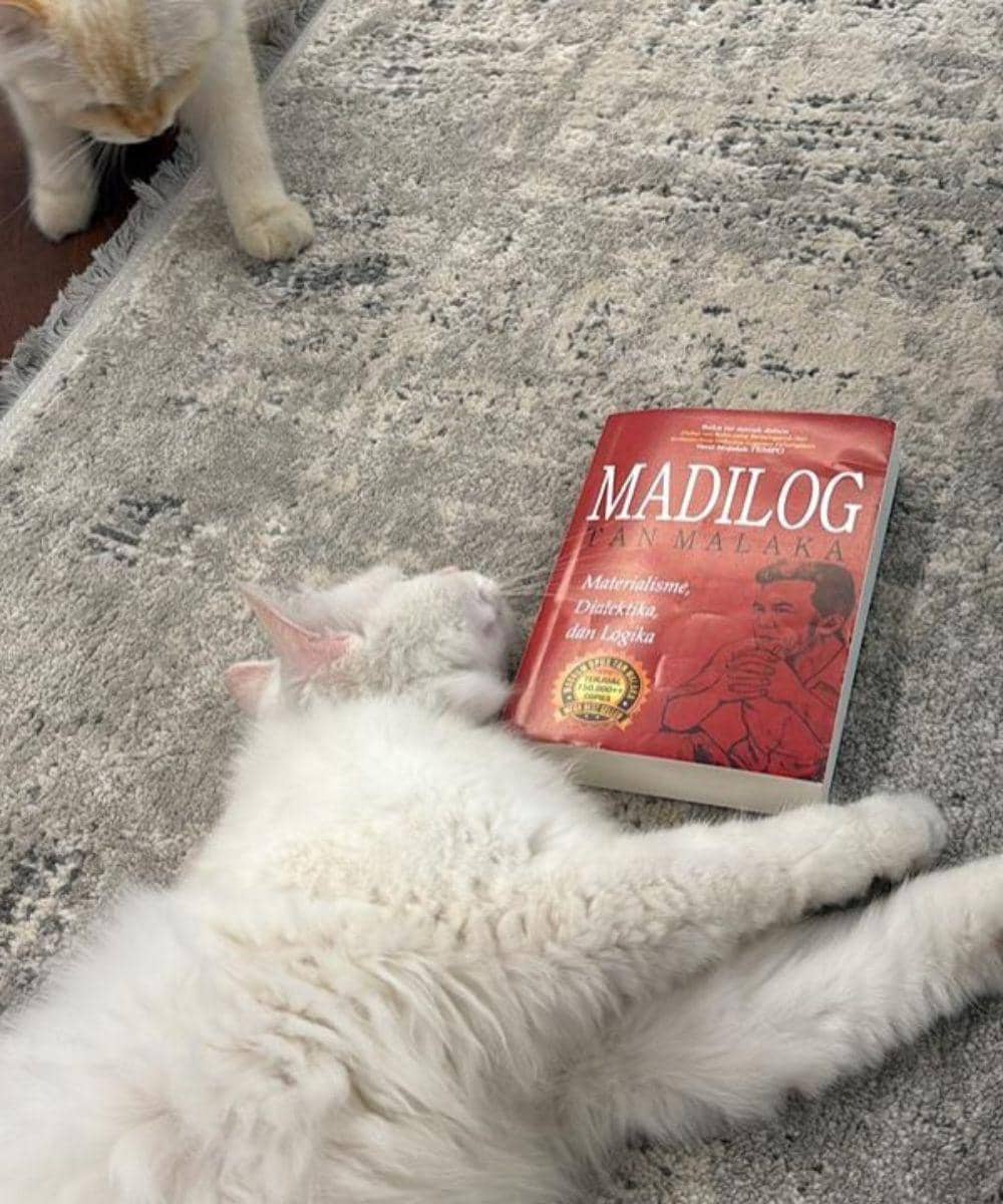 Koleksi Buku Aura Kasih di Rumah