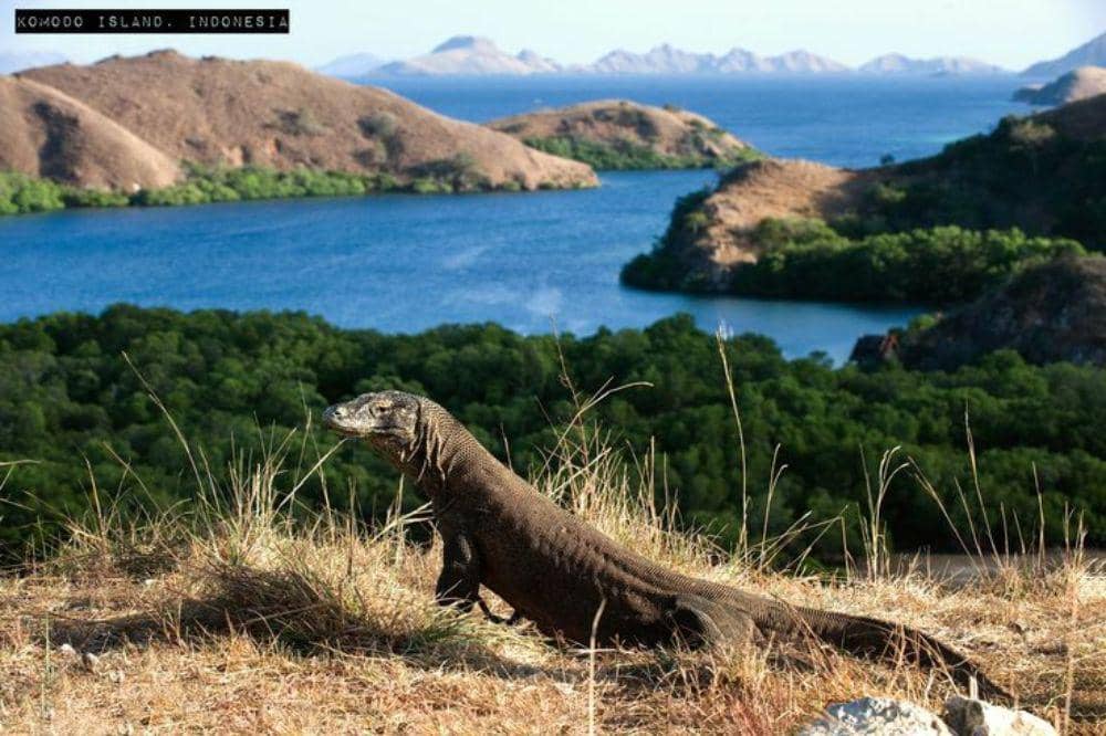 10 Tempat Wisata yang Cocok Dikunjungi Saat Musim Panas