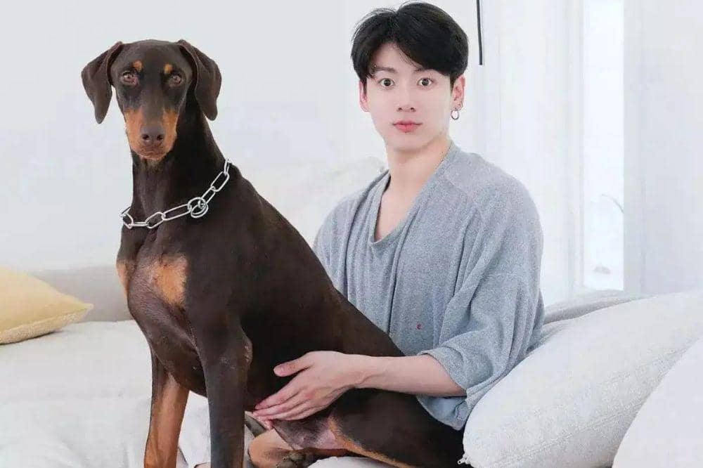 hewan peliharaan member BTS