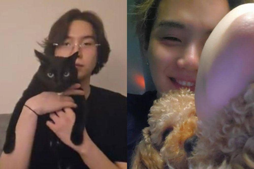 hewan peliharaan member BTS