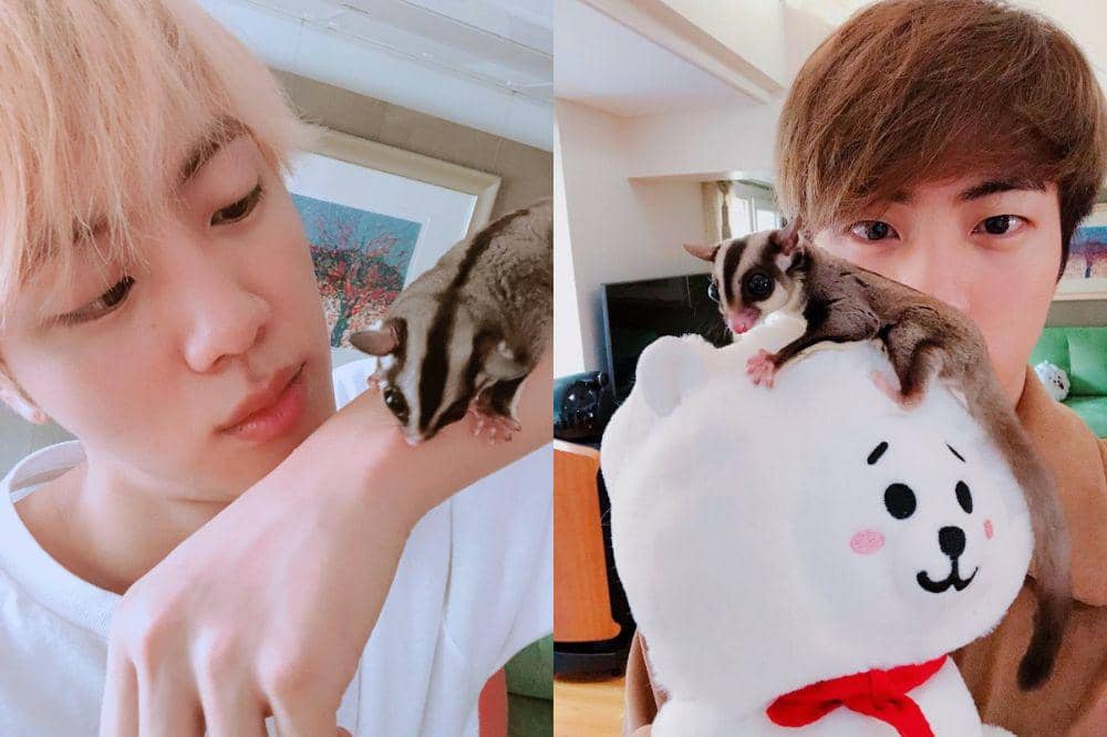 hewan peliharaan member BTS