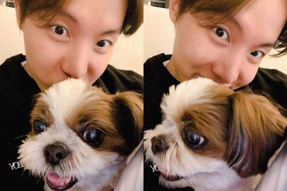 hewan peliharaan member BTS