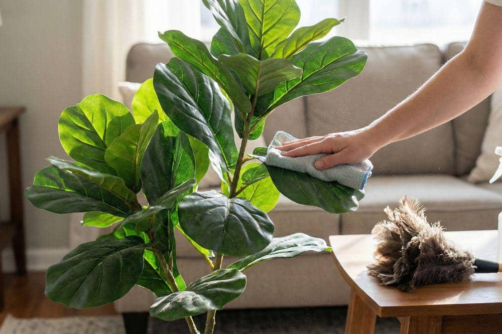 7 Tips Memilih Tanaman Palsu agar Terlihat Asli 7