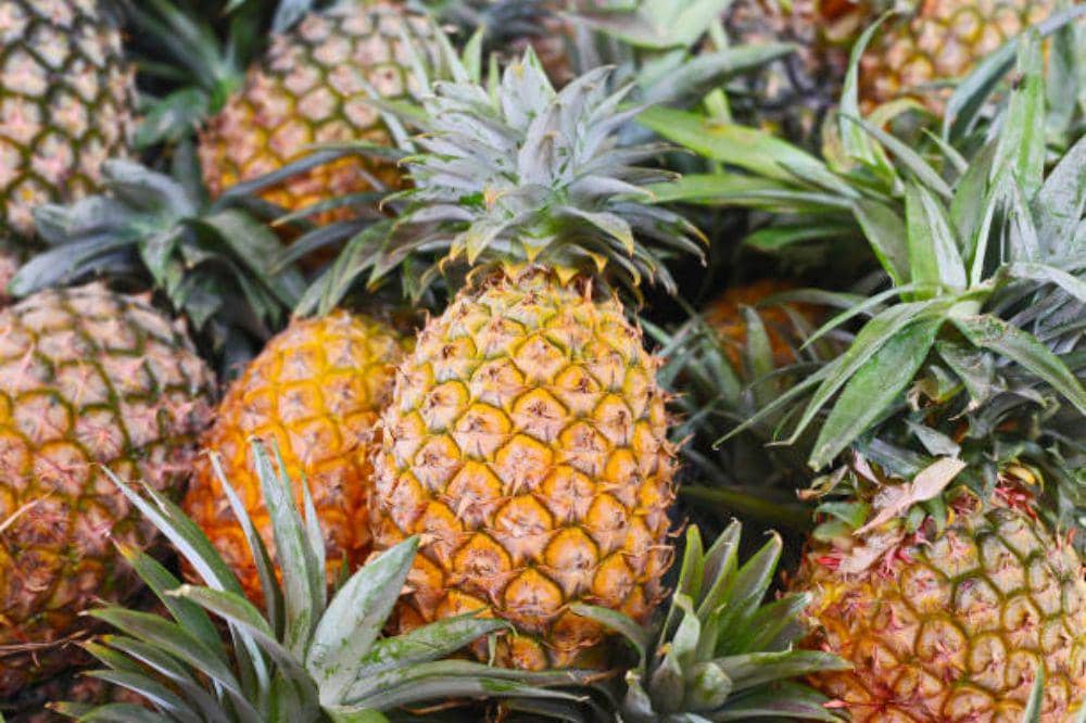 6 Buah untuk Diet Golongan Darah B agar Berat Badan Ideal