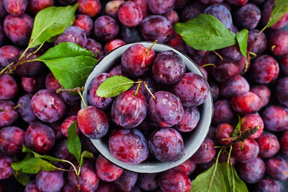 6 Buah untuk Diet Golongan Darah AB, Bikin Tubuh Cepat Langsing!