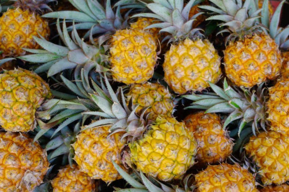 6 Buah untuk Diet Golongan Darah AB, Bikin Tubuh Cepat Langsing!