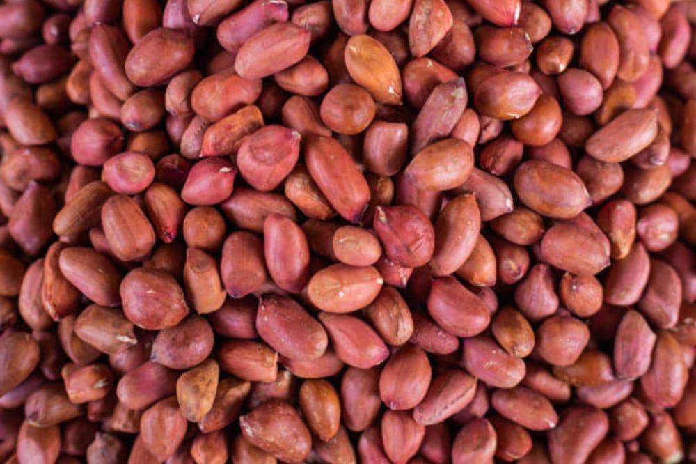 7 Pantangan Makan untuk Diet Golongan Darah O agar Tubuh Lebih Ringan