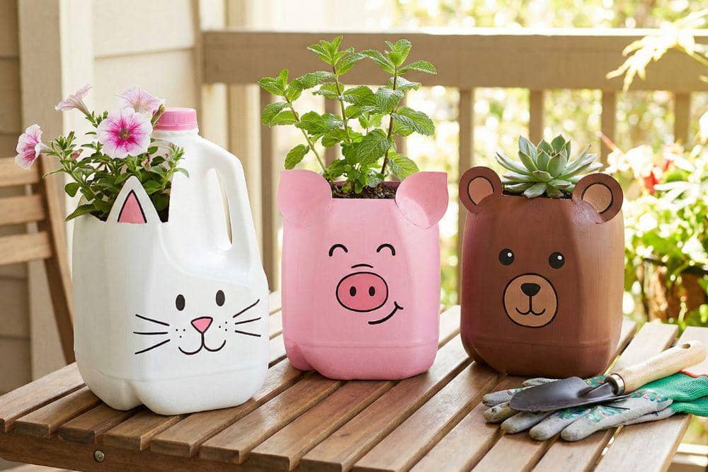 7 DIY Galon Bekas Air Mineral untuk Pot Tanaman 2