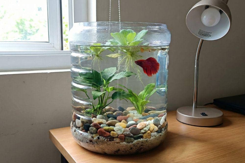 7 DIY Galon Bekas Air Mineral untuk Dekorasi Rumah 7