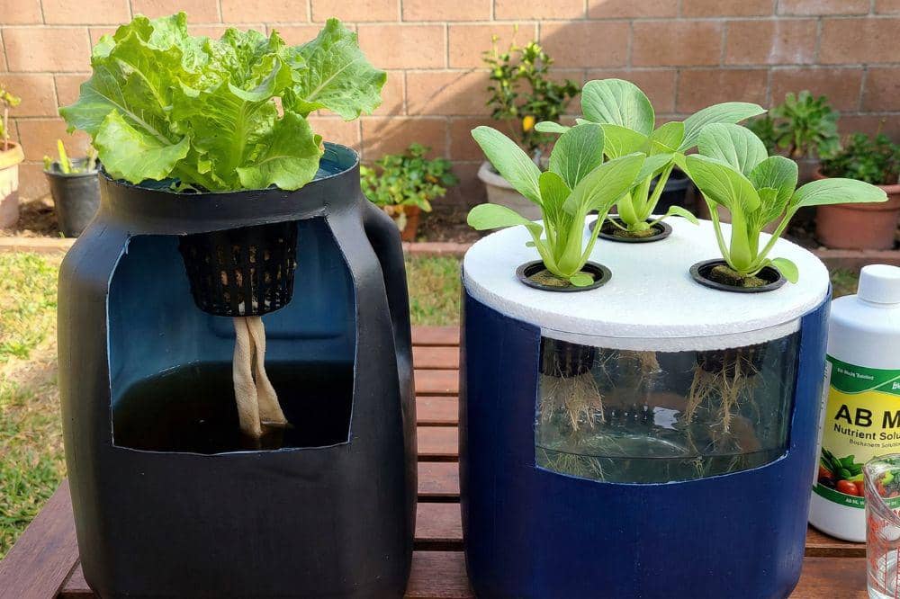 7 DIY Galon Bekas Air Mineral untuk Pot Tanaman 4